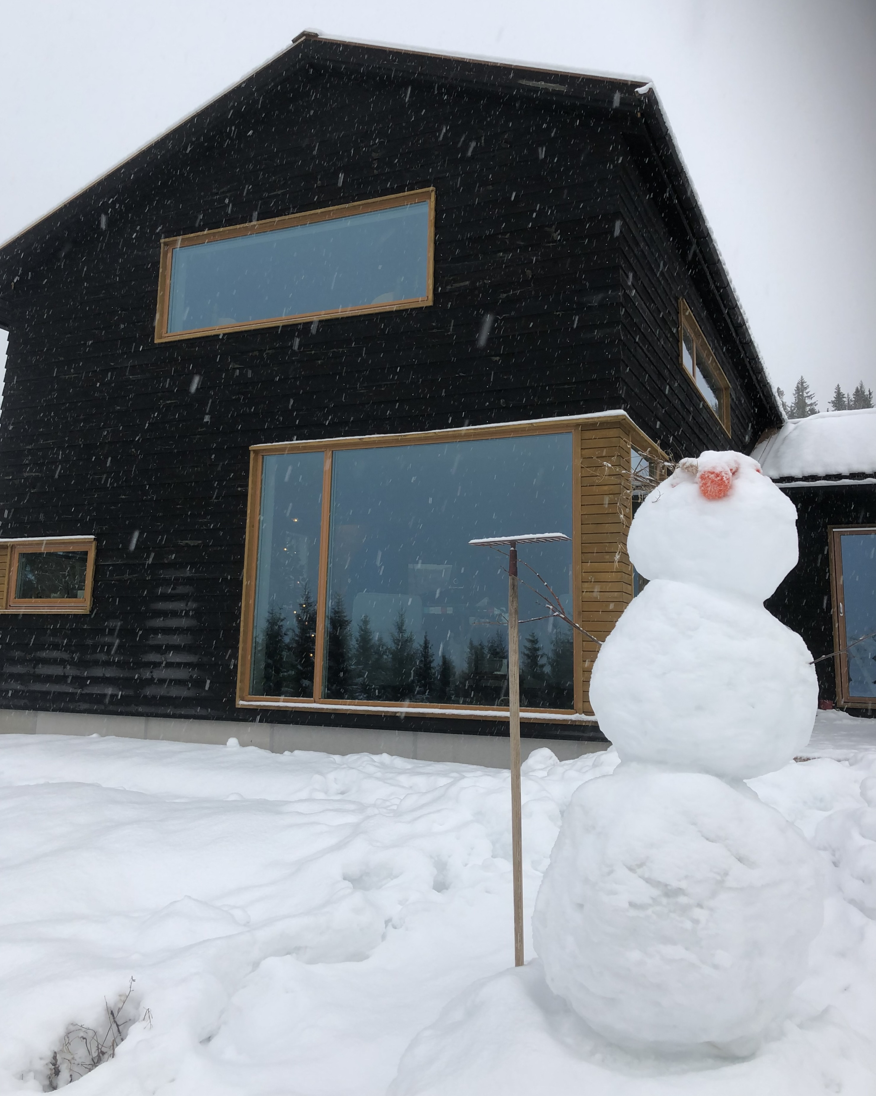 3147D621-E5FE-4540-9F36-43FDD55417A1_1_201_a