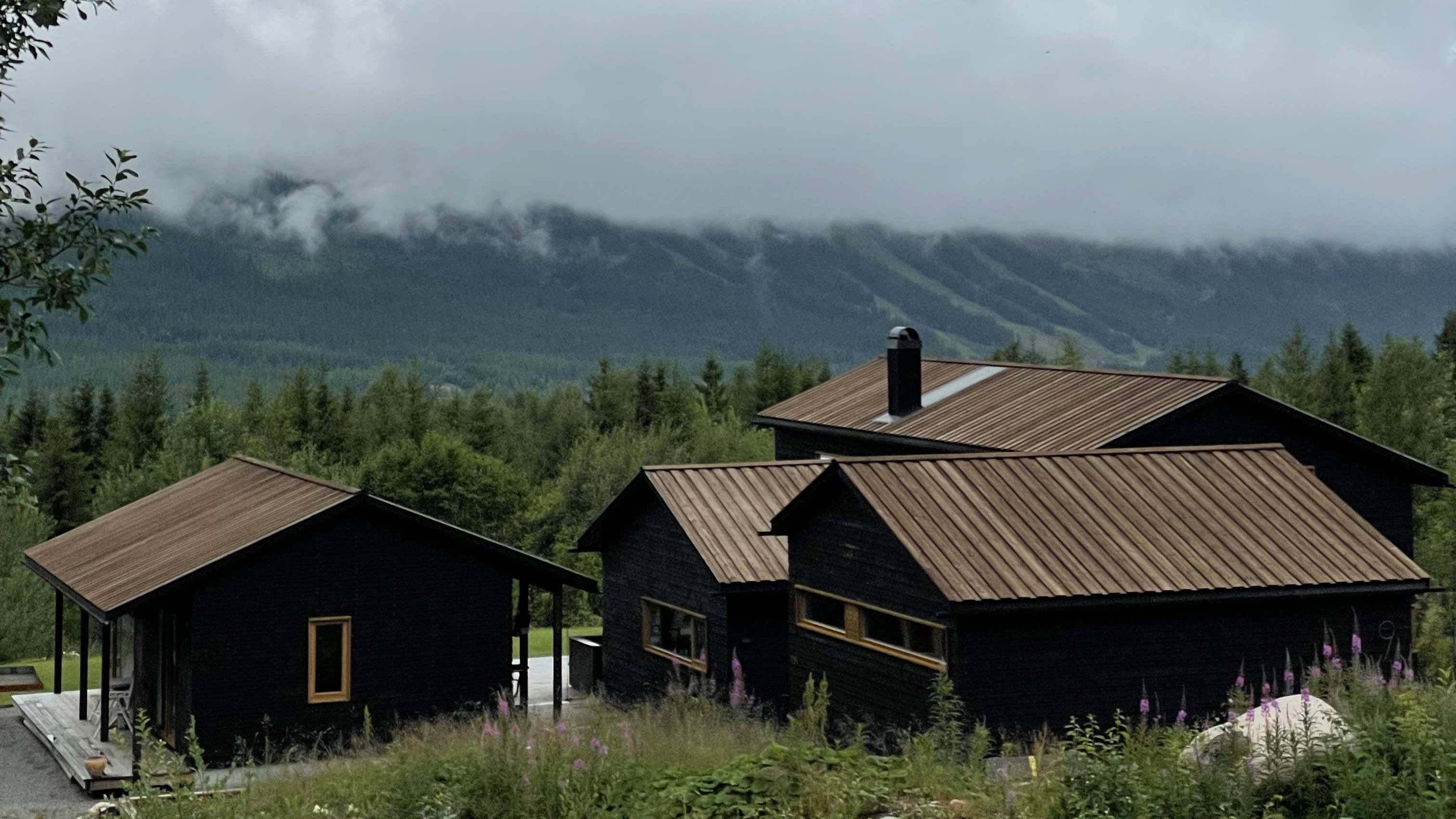 8114B44C-F42C-4127-A0B0-D46EDAE19DA0_1_201_a