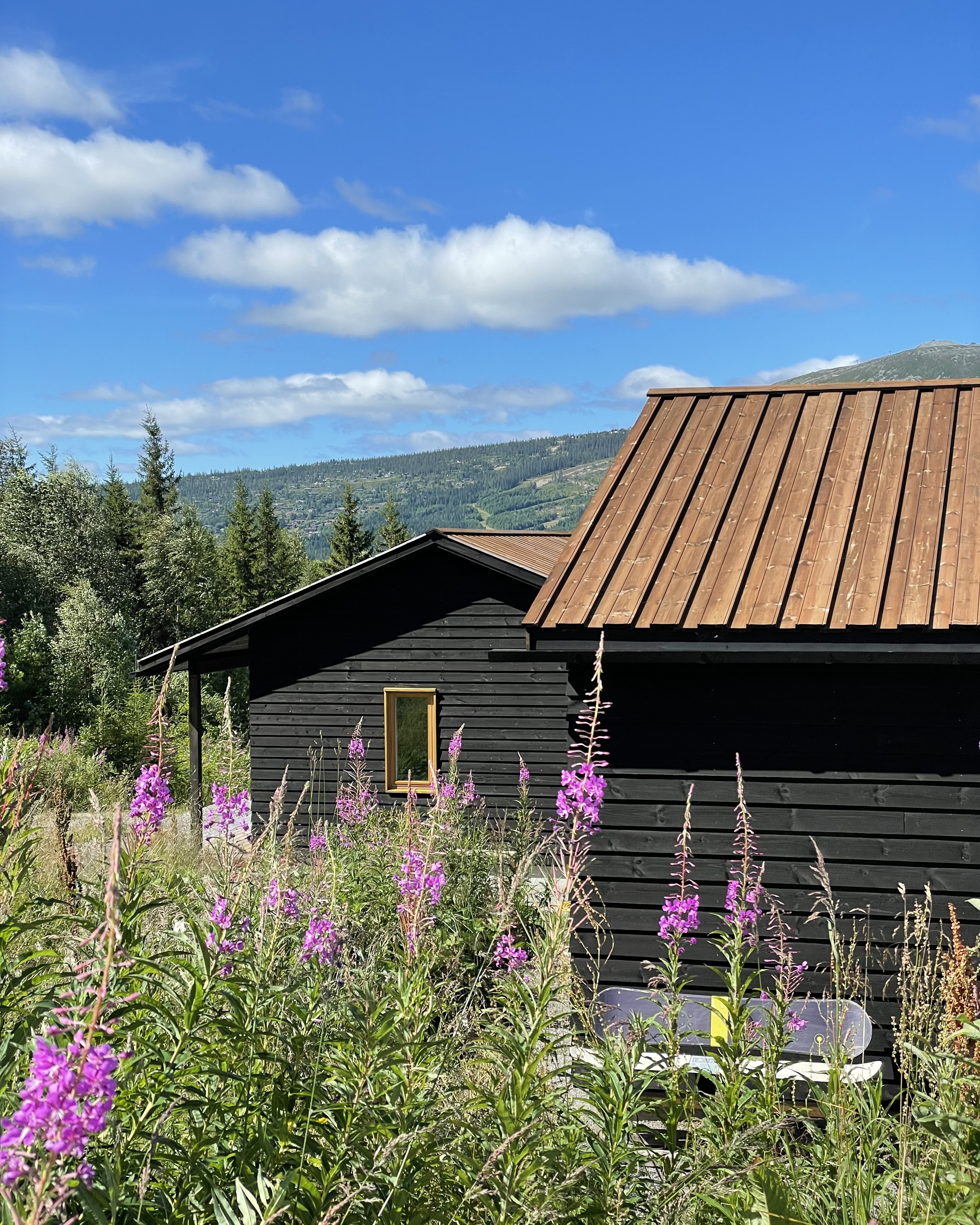 FA4B59B5-B081-4CFF-BD7D-105A8F60C1F6_1_201_a